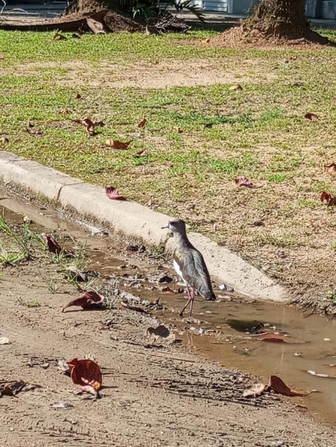 Pousada 5 Cachoeiras Ubatuba Exteriér fotografie