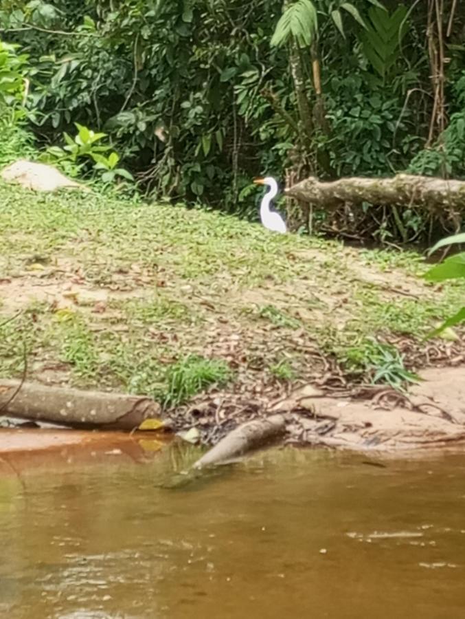 Pousada 5 Cachoeiras Ubatuba Exteriér fotografie