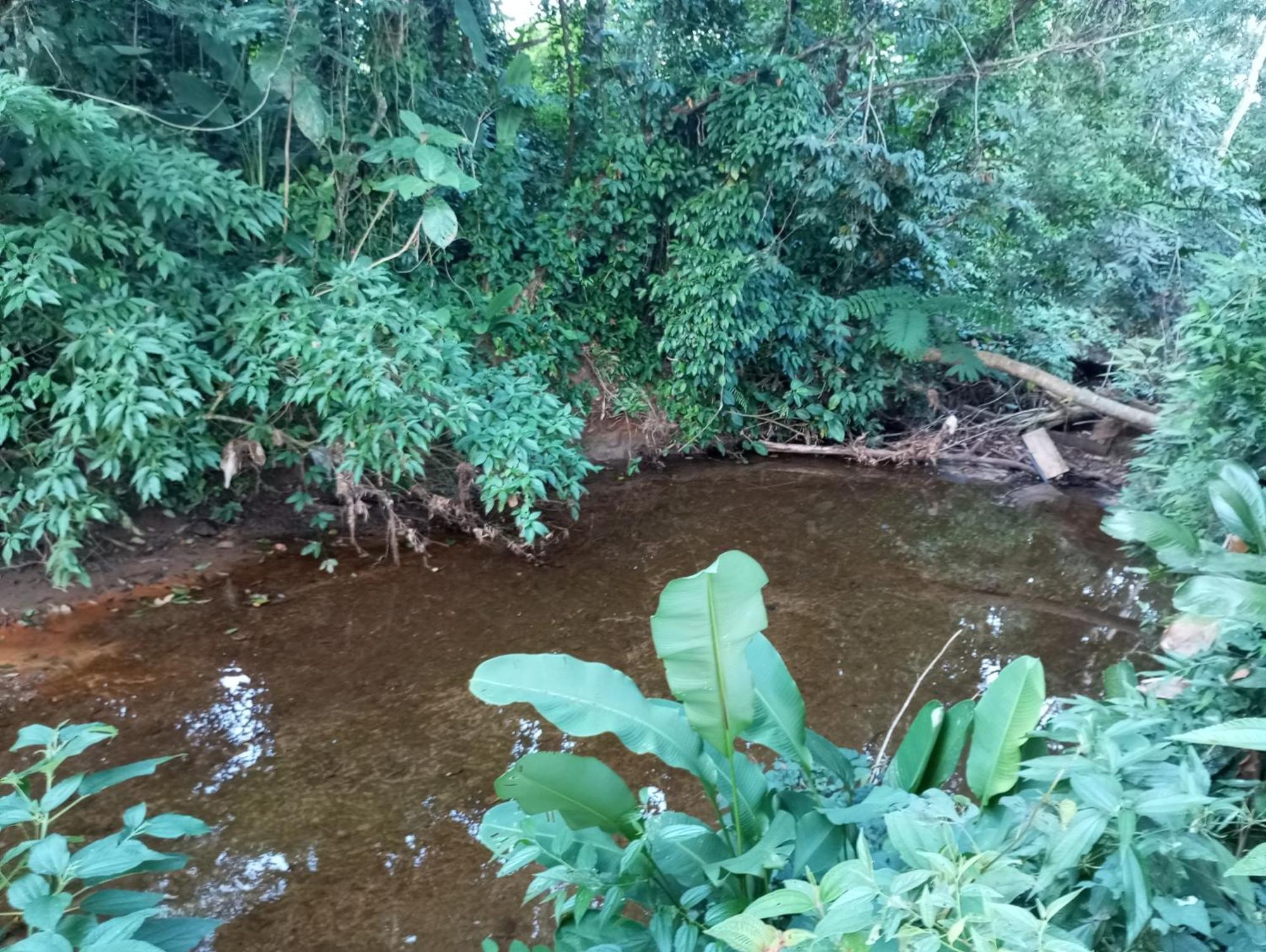 Pousada 5 Cachoeiras Ubatuba Exteriér fotografie